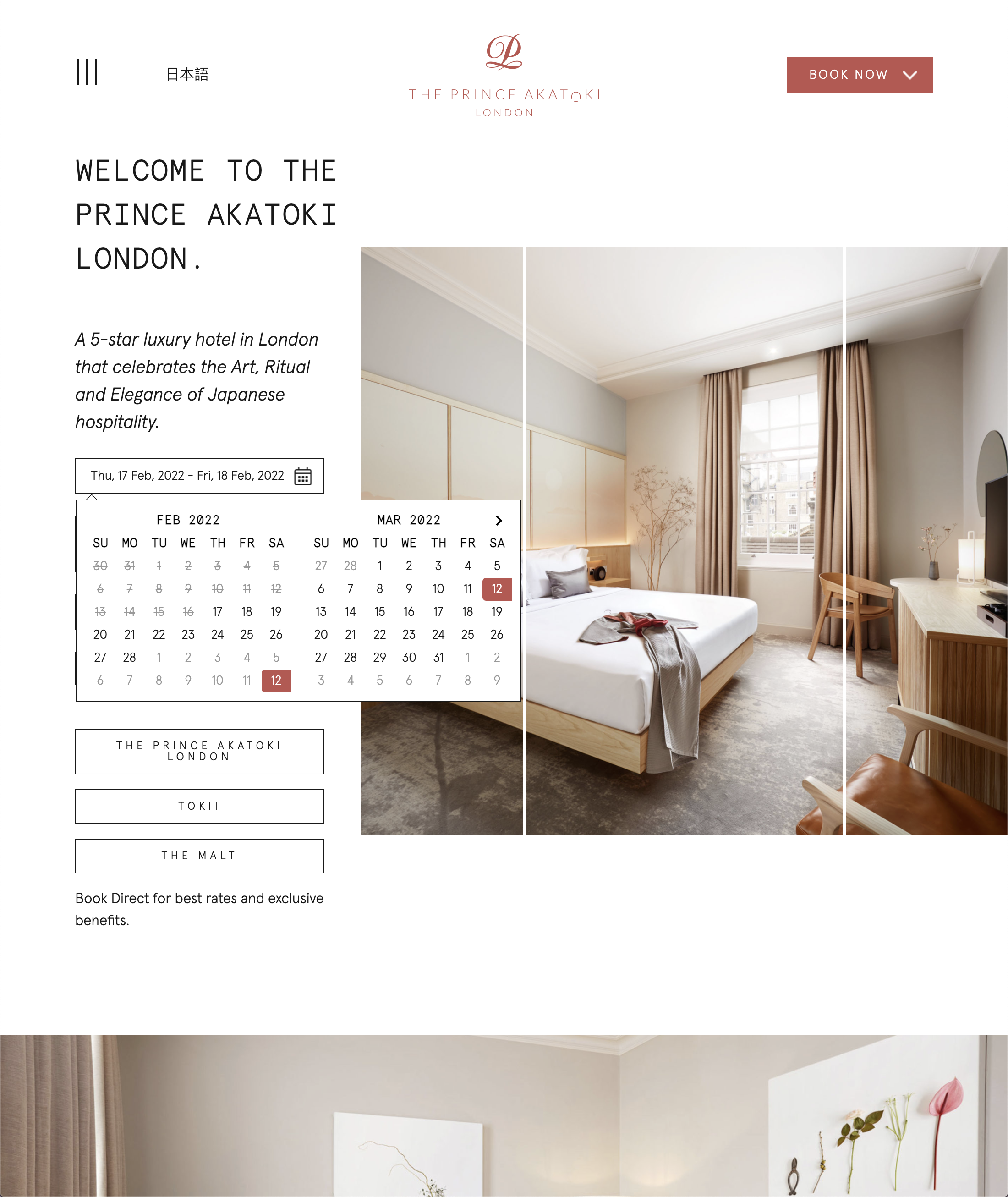 Desktop screenshot of Prince Akatoki London