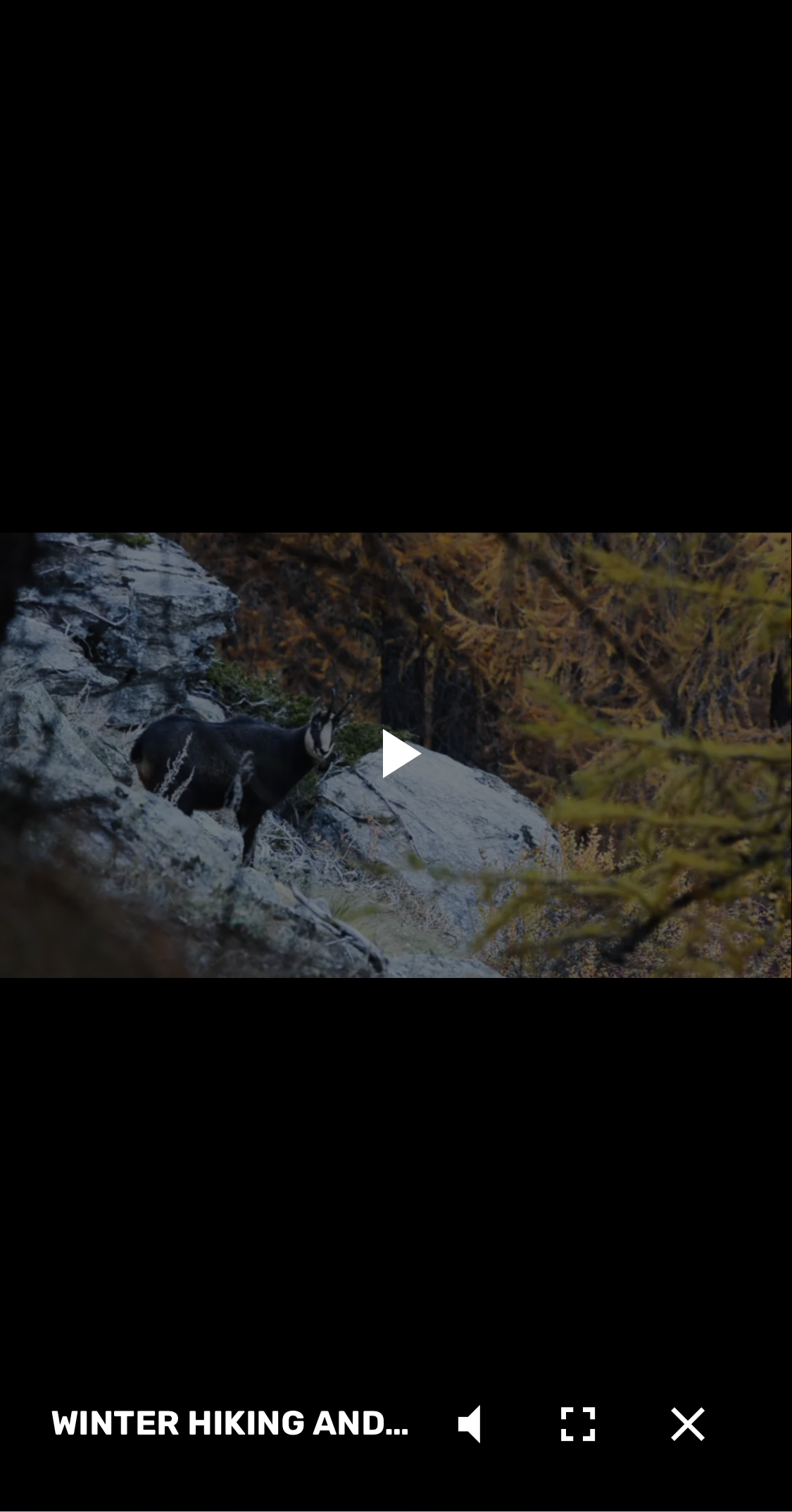 Mobile screenshot of undefined