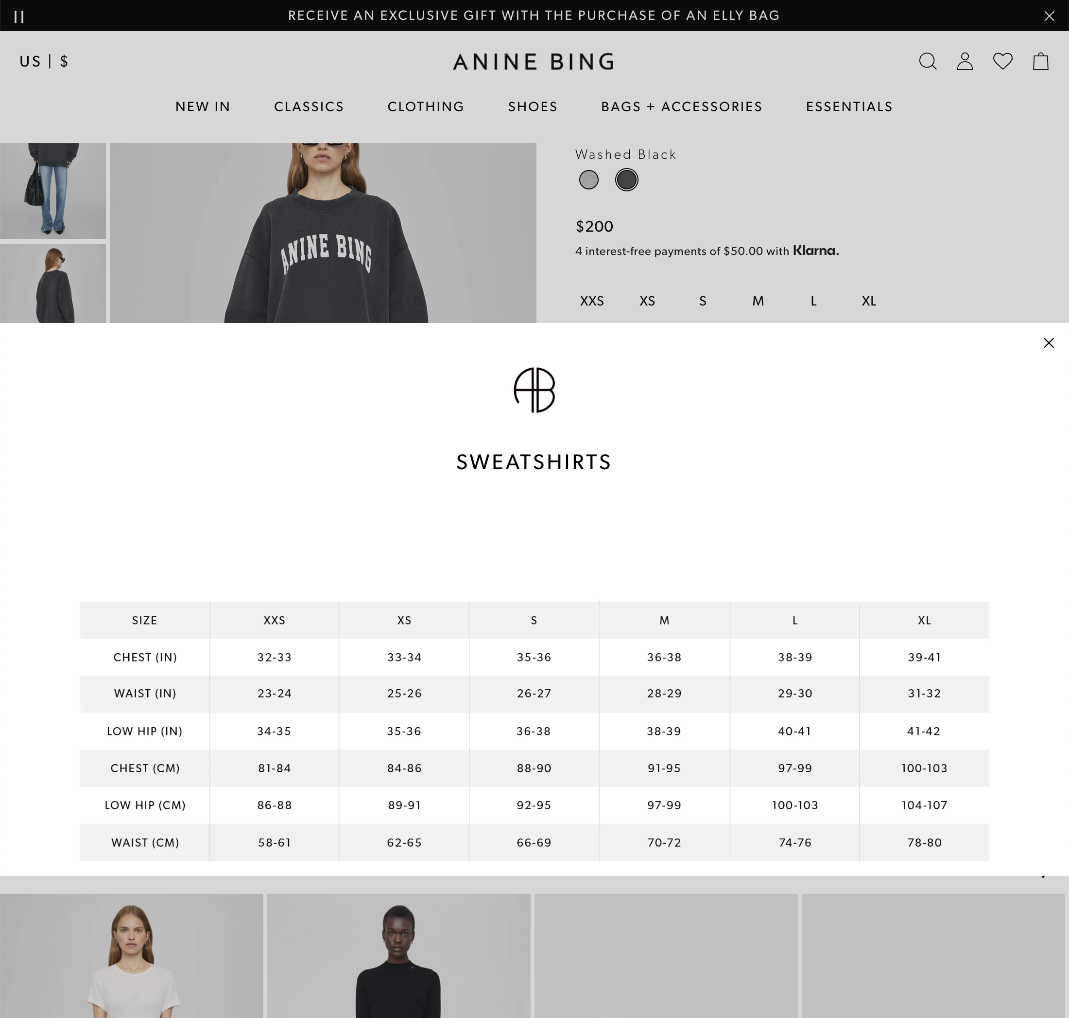 Desktop screenshot of Anine Bing