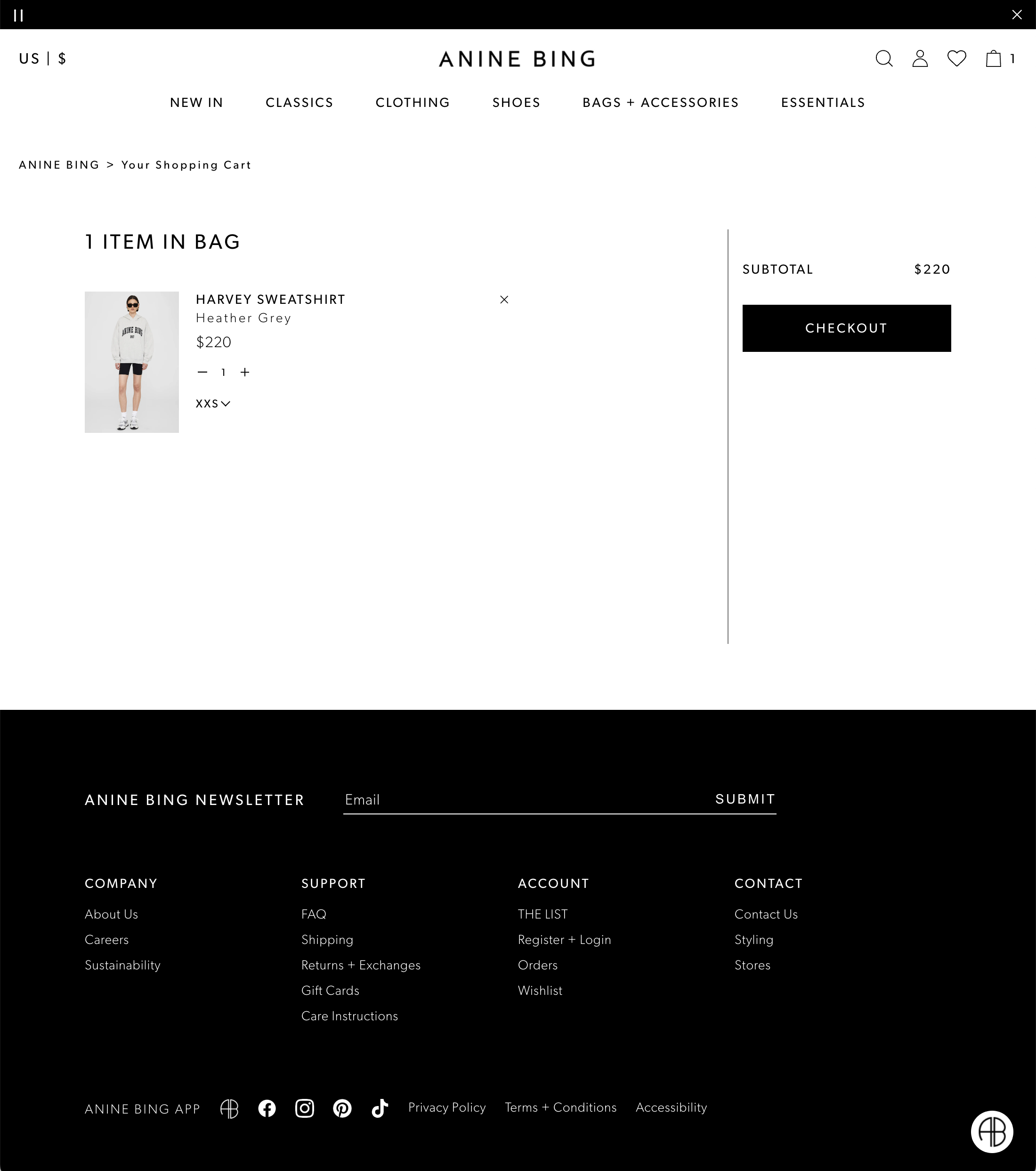 Desktop screenshot of Anine Bing