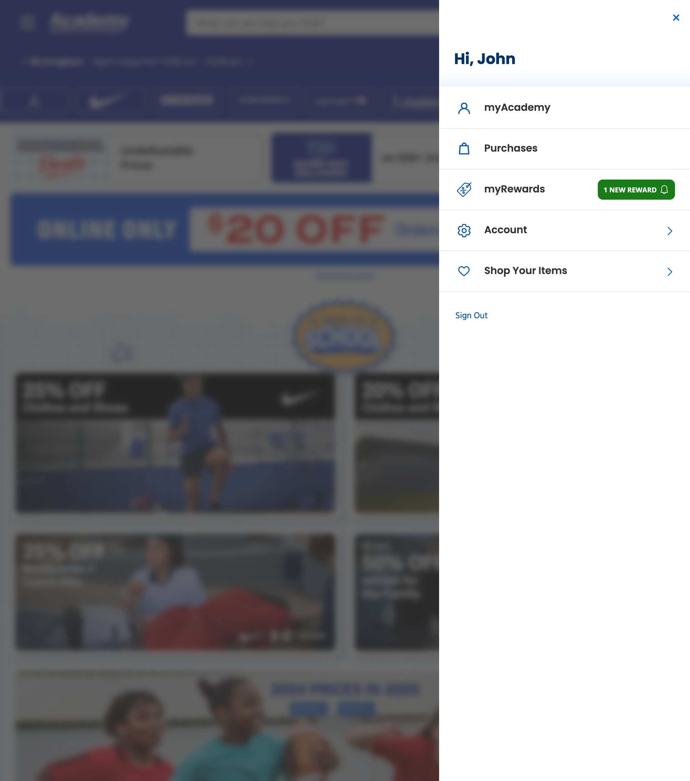 Desktop screenshot of Academy