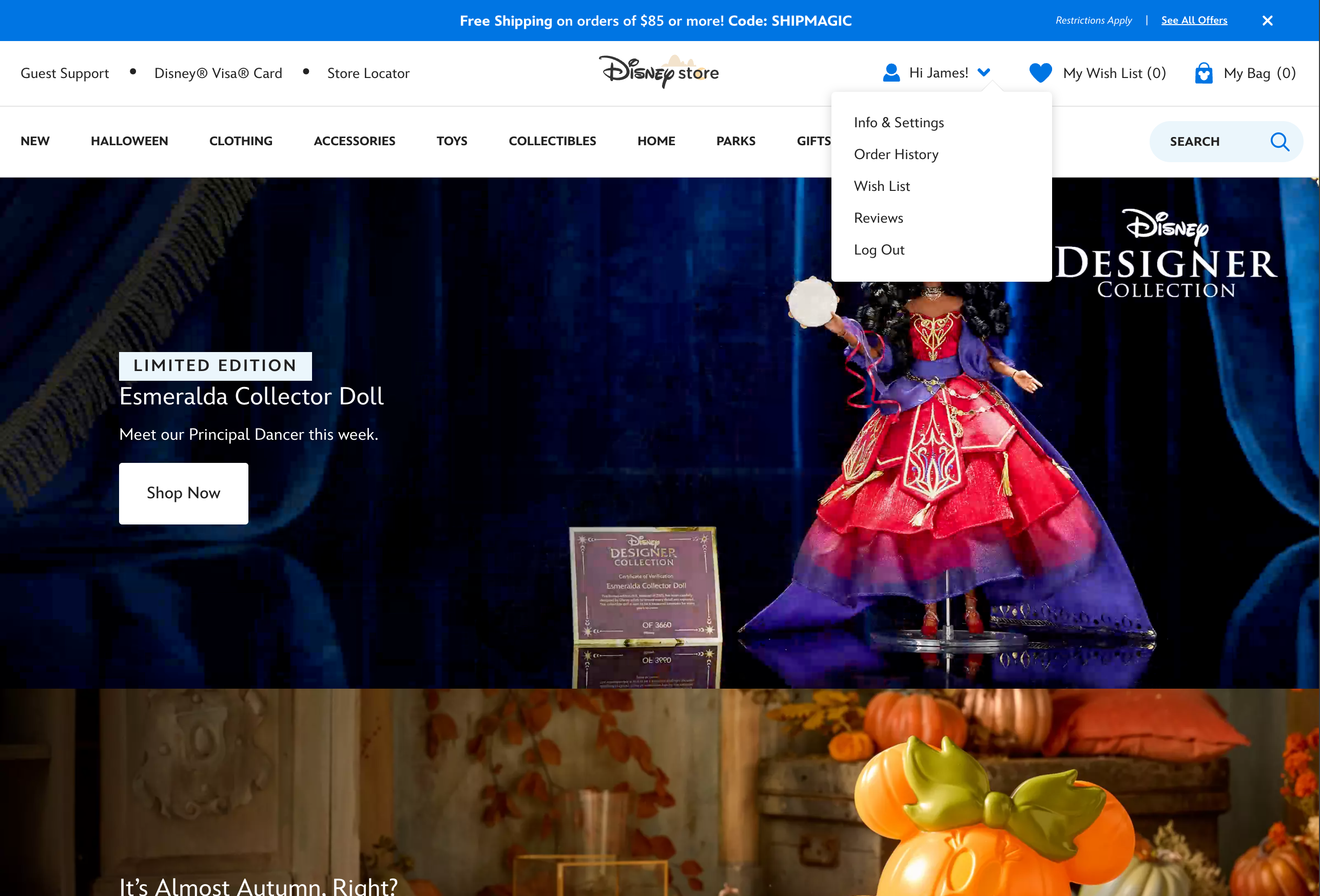 Desktop screenshot of Disney Store